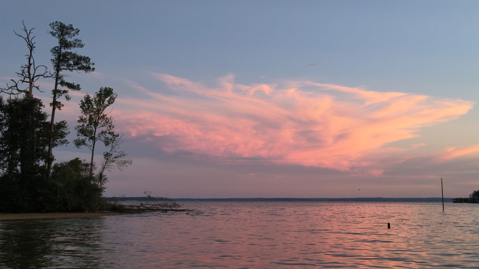 Sunset over Lake Livingston, pine silhouettes at left and pink cloud over open water.