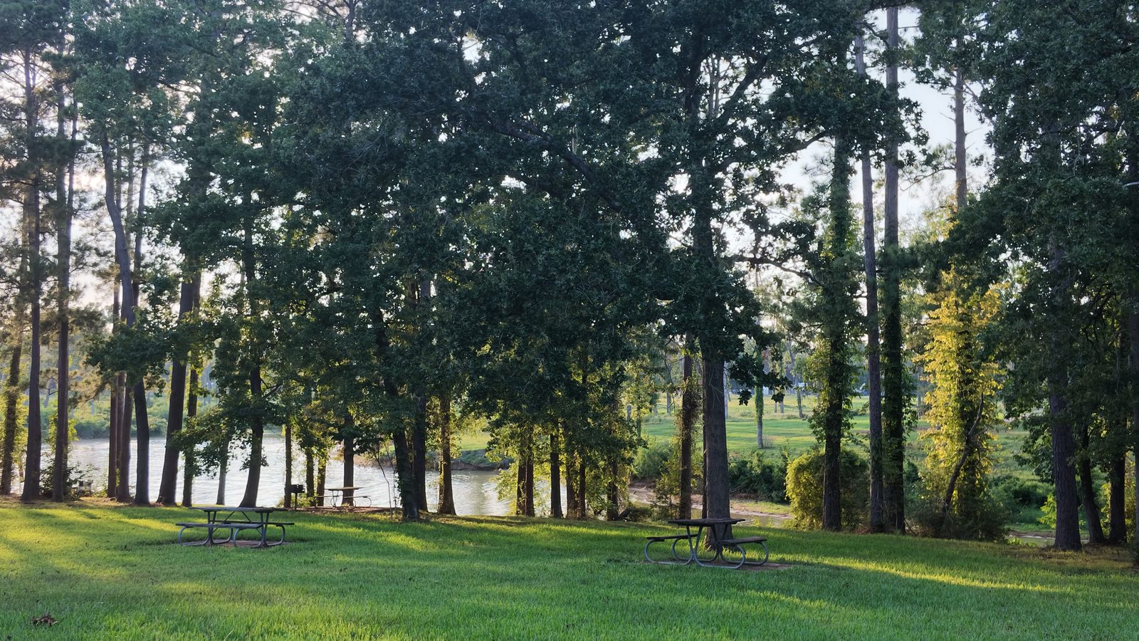 Picnic tables and a charcoal grill under tall pines at Tigerville Park, with open water beyond the treeline.