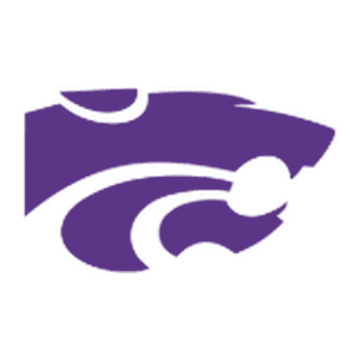 Big Sandy ISD Wildcats logo
